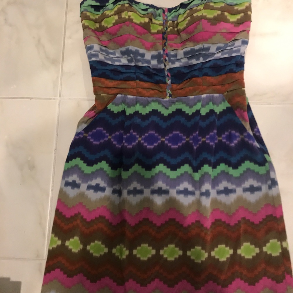 Charlie Jade NWOT 100% silk shopbop dress